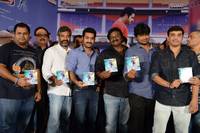 Ramayya Vastavayya Audio Function